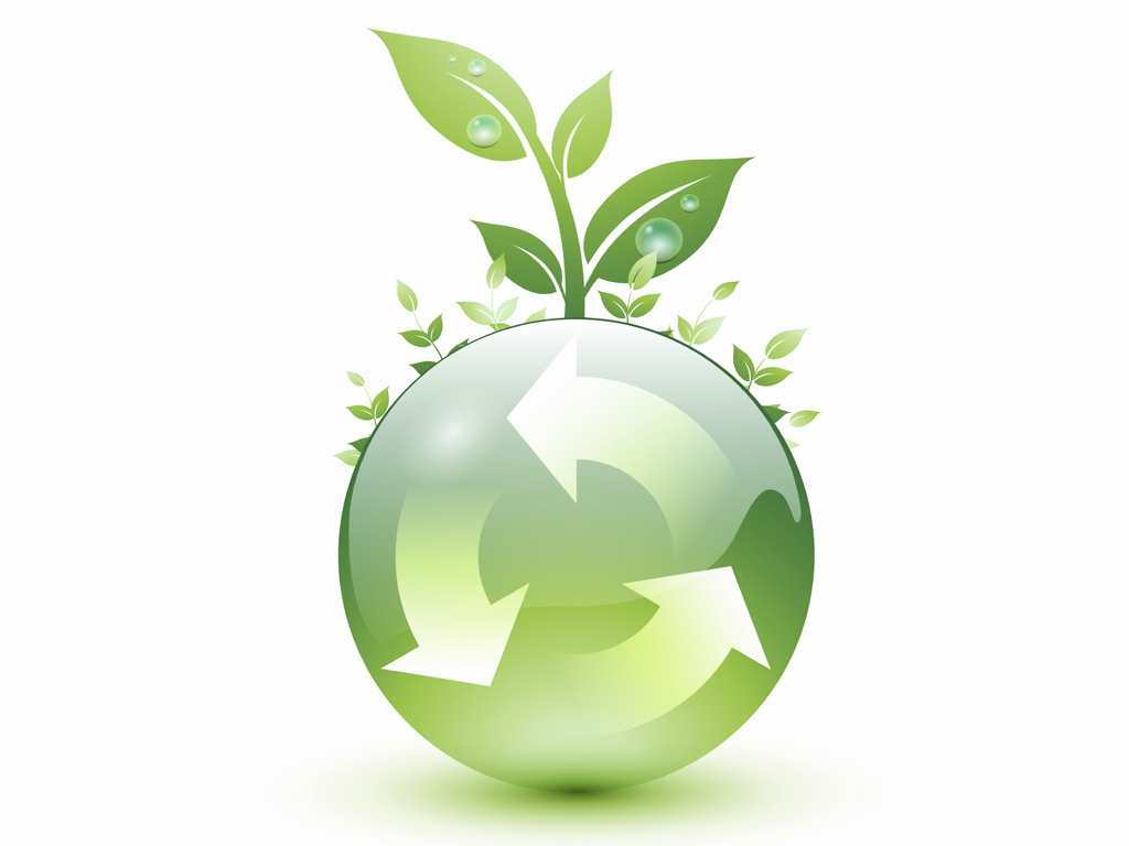lic_ambiental